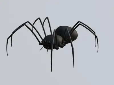 Spider - Aranha Low-poly 3D model