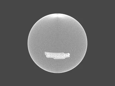 Technogym Accessories Wellness Ball 3D model