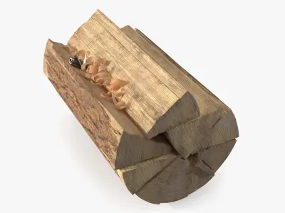 Survival Match Igniting Wood Curl and Timber 3D model