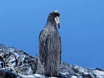 opium bird 3D model