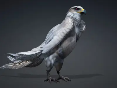 Hawk-A2 3D model