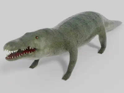 3D Crocodile Model toy alligator Low-poly 3D model
