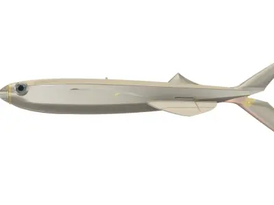 FUN FLY RC FLYING FISH GLIDER WINGSPAN 1078MM Free 3D print model