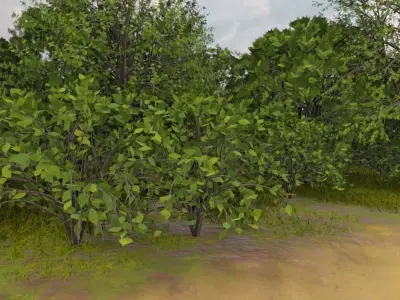 Wooden Settlement In Nature 3D model