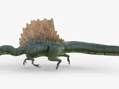 Realistic Spinosaurus Rigged and Animated Low-poly 3D model