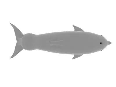 Afalin dolphin 3D model