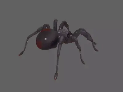 Spider 3D model 16