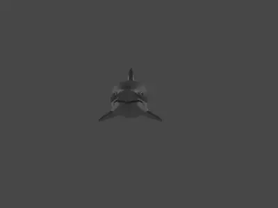 Shark Low-poly 3D model 4