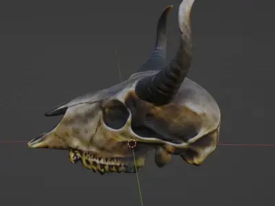 Animal Skull 3D model