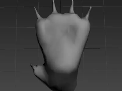 paw front paw Low-poly 3D model