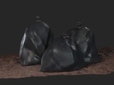 Realistic Garbage Bag 3D Model  Low-poly 3D model