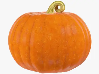 Pumpkins Collection V8 3D model