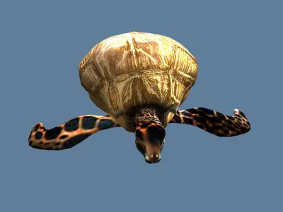 golden turtle Low-poly 3D model
