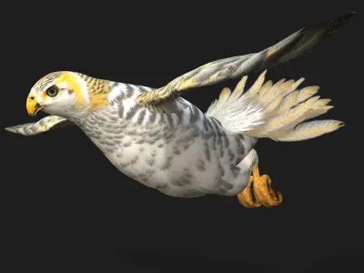 Kestrel B7 3D model