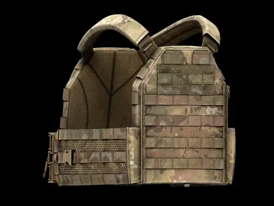 TYR Tactical PICO DSX Assaulter Plate Carrier V1 Low-poly 3D model