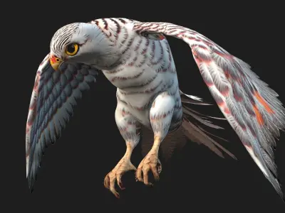 Kestrel B5 3D model