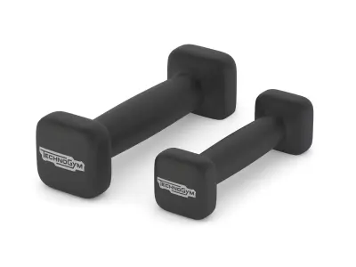 Technogym Accessories Bike Weights 3D model