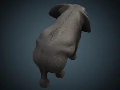 Elephant 1 Lowpoly Low-poly 3D model