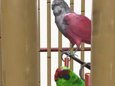 Parakeets in cage Low-poly 3D model