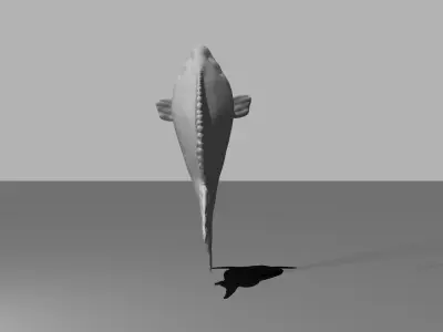 sample fish Free 3D model