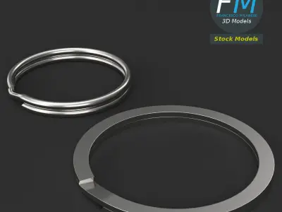 Split rings 3D model