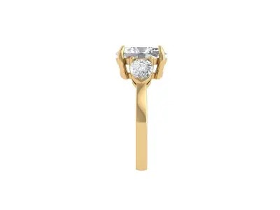 Ovel 3 Stone Ring 3D print model