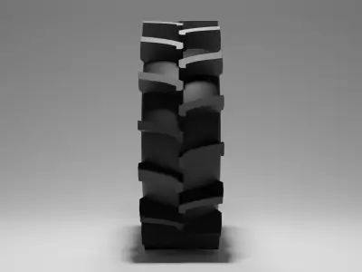 Paddy Tire and Rim 1 3D model