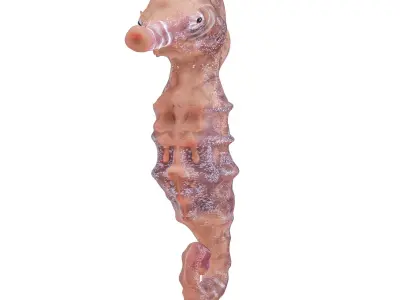 Atlantic seahorse rigged 3D model