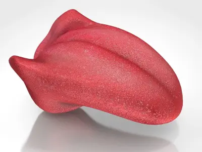 Tongue lip Low-poly 3D model