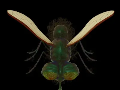 Fly-rigged bee with wings 3D model