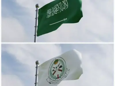 Animated Saudi Arabia Flags 3D model
