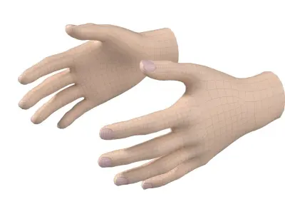Female Hand Base Mesh 02 3D model