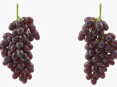  Grapes Collection 3 
