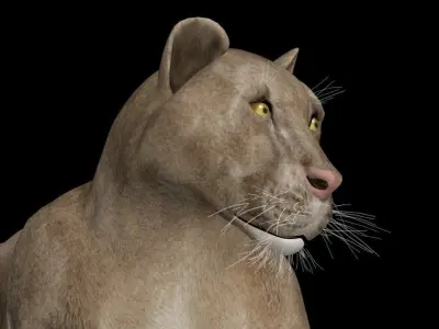 3DS Max Lion Rigged Low-poly 3D model