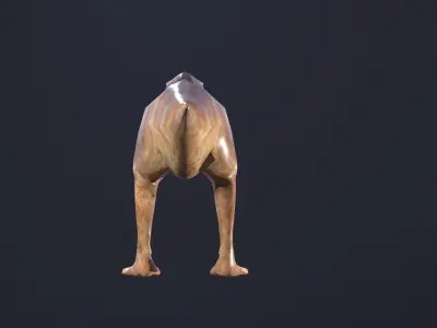 T-rex dog Low-poly 3D model
