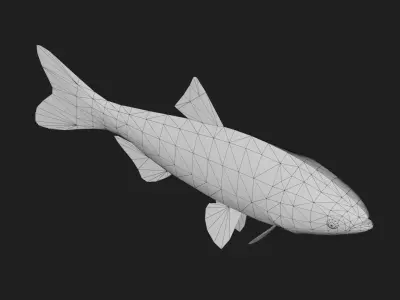 Carpfish Low-poly 3D model