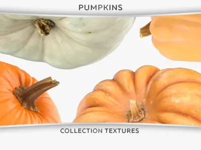 Pumkins Collection 08 - 10 models 3D model