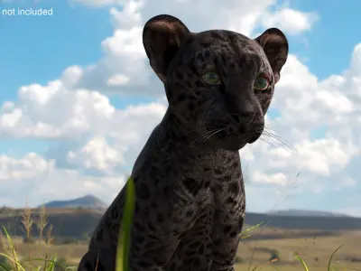 Black Leopard Cub Sitting Pose 3D model
