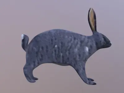 Bunny 3 Different Looks Low-poly 3D model