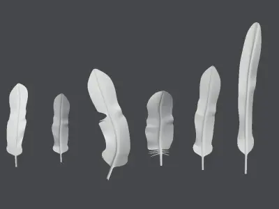 Feathers group of Low-poly 3D model