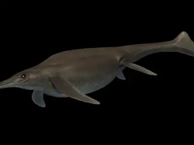 Shonisaurus Asset Pack Low-poly 3D model