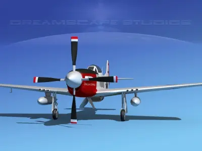 P-51D Mustang Dixieland Express 3D model