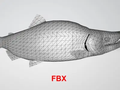 Salmon low poly fish 3D model