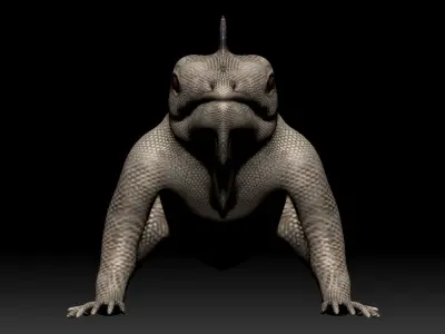 Iguana Lizard Low-poly 3D model