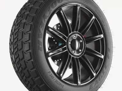 Tire  Rim and Brake  Plates 3D model