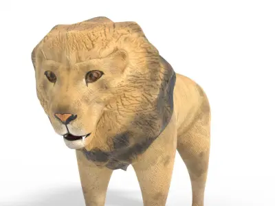 3D Lion Model Low-poly 3D model