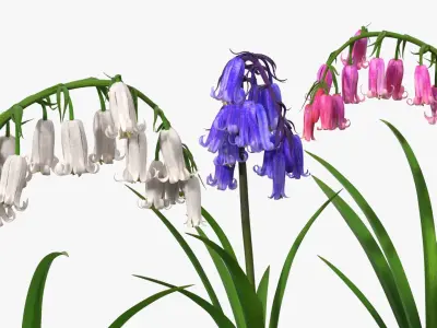 Bluebell Plants Set Mixed 3D model