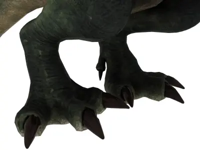 Tyrannosaurus rex Low-poly 3D model 16