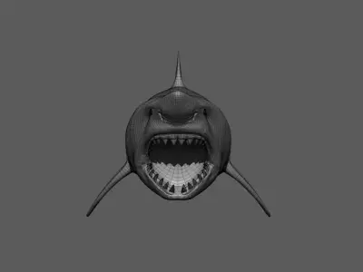 Great White Shark  3D model