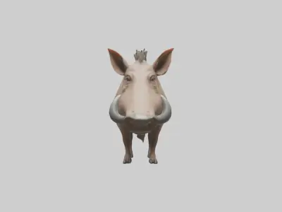 Standing Warthog Model Low-poly 3D model